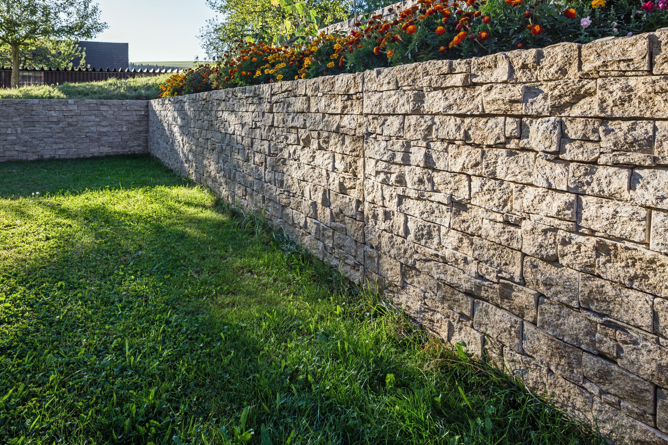 Glatthaars Starwalls